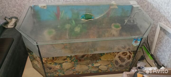 Аквариум 60л