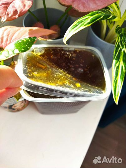 Мёд уникальный