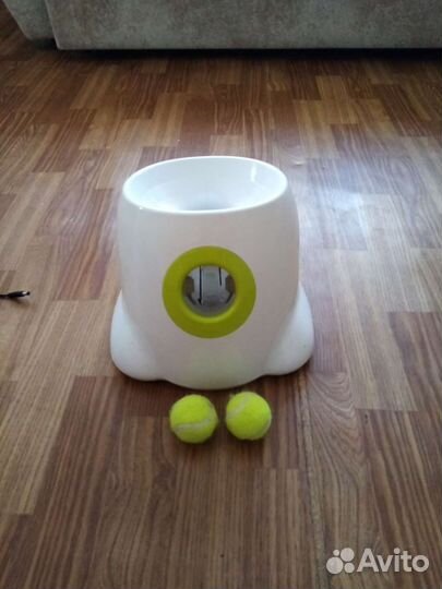 Игрушки для собак