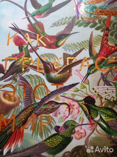 Постер на плотной бумаге. 40*46 см