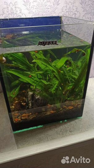 Аквариум aquael