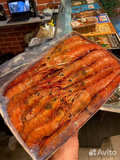 Лангустины Крупные