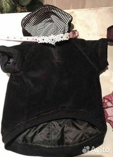 Шлейки, поводки, обувь, куртки, ступеньки