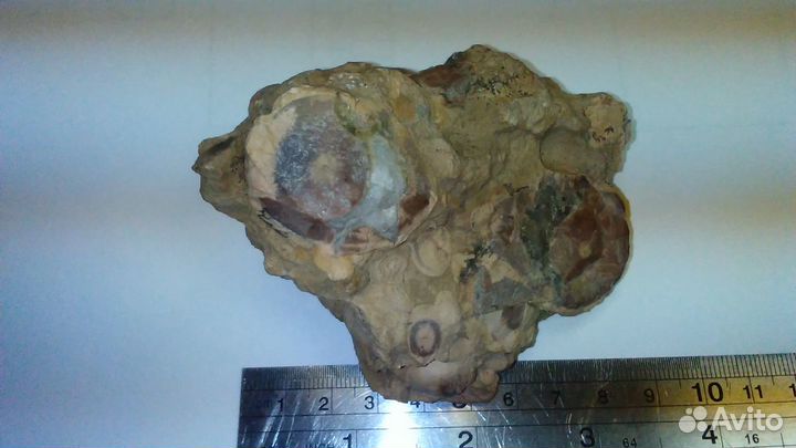 Минерал Септария