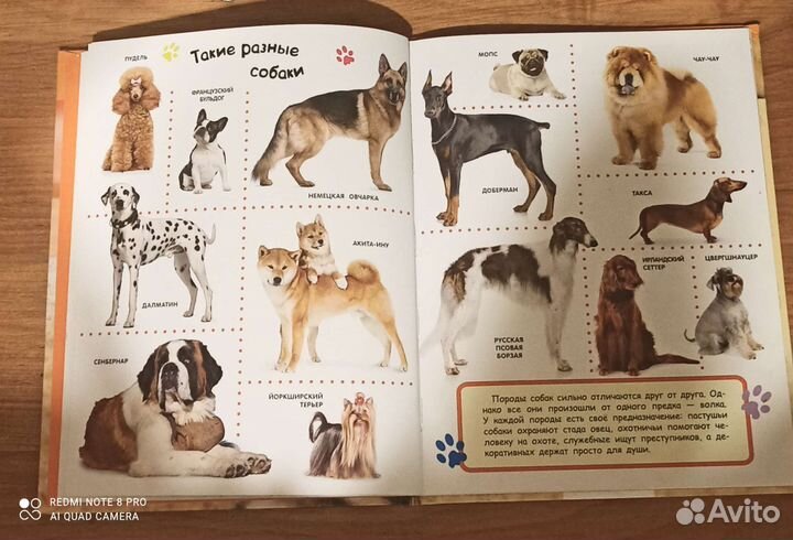 Книги для малышей