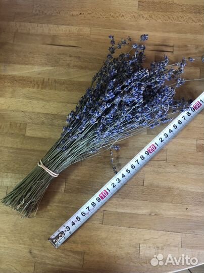 Лаванда сухоцвет