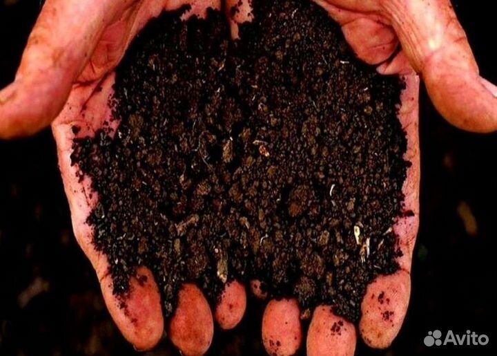 Почвогрунт