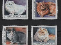 А2-052 Югославия 1992. Фауна. Кошки. 4 супер марки