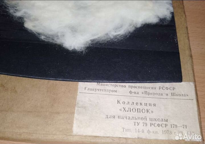 Коллекция хлопок для начальной школы 1953