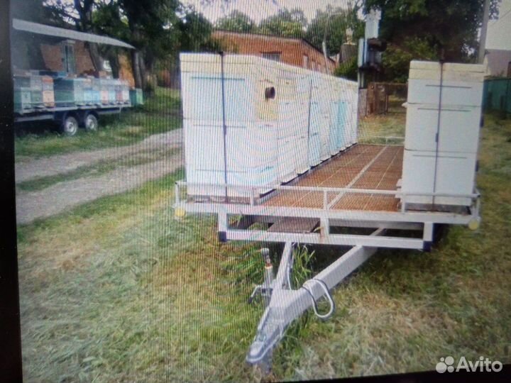 Продаётся пасека