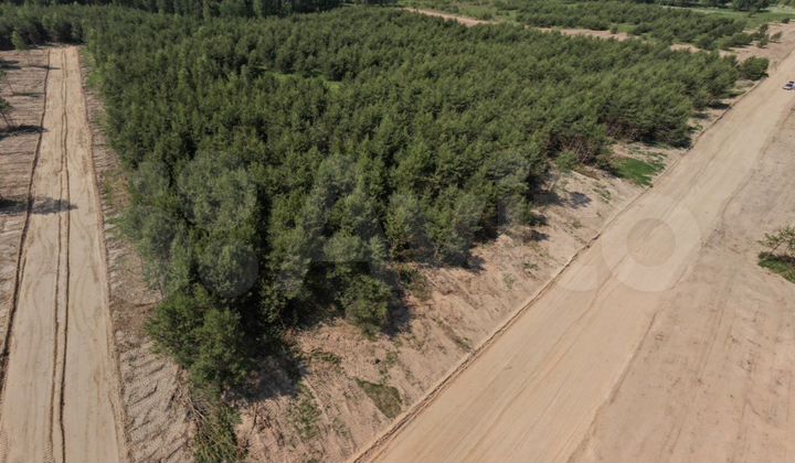 Участок 87 сот. (СНТ, ДНП)