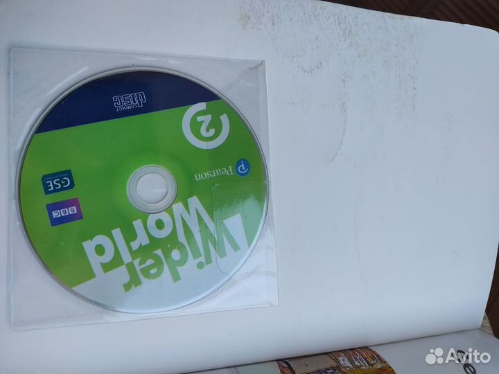 Family and Friends 5, Wider World