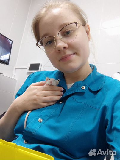 Выгул собак