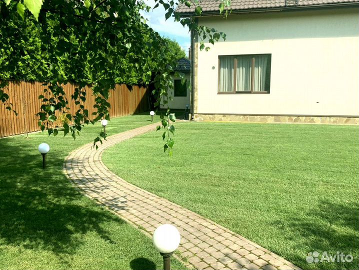 Рулонный газон