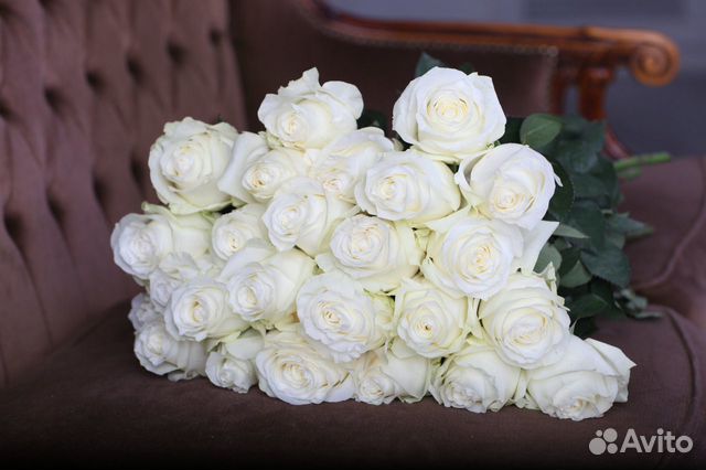 Цветы розы белые 27 шт крупные сорта Tibet Эквадор