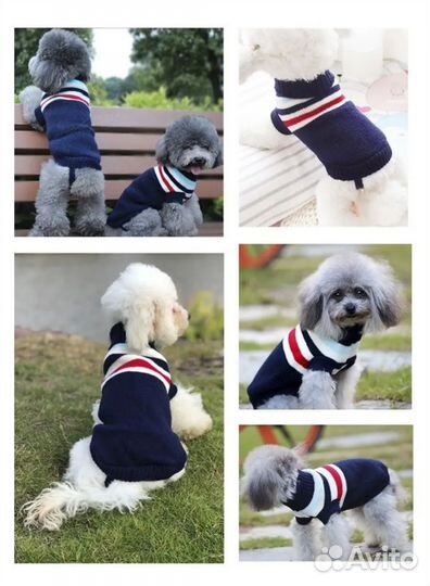 Одежда для собак мелких пород