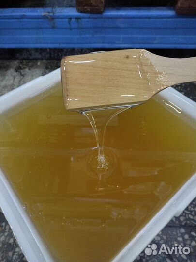 Свежий мед липа оптом