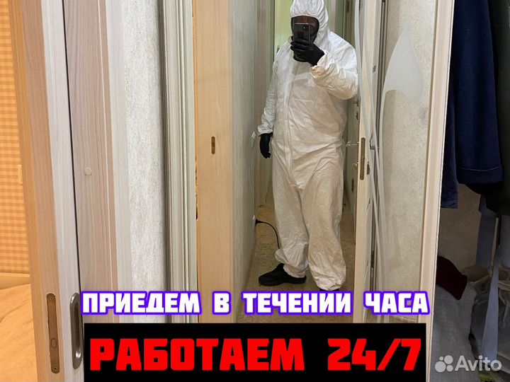 Уничтожение тараканов,дезинфекция вывести клопов