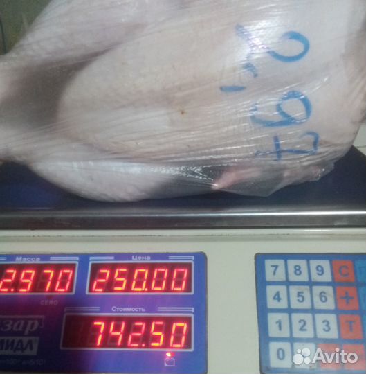 Курица 250 домашняя