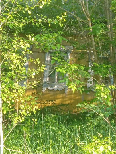 Дом 34,3 м² на участке 14 сот.