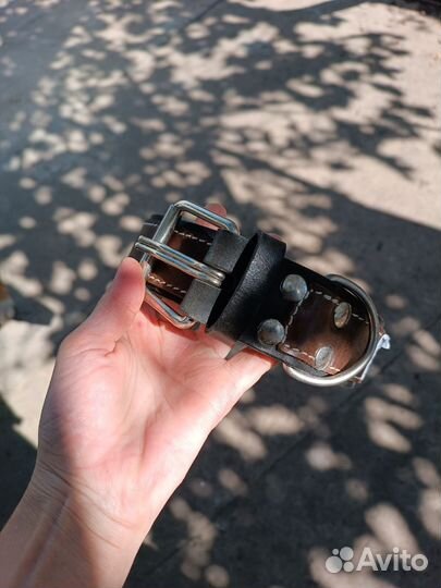 Ошейник/поводок для собак