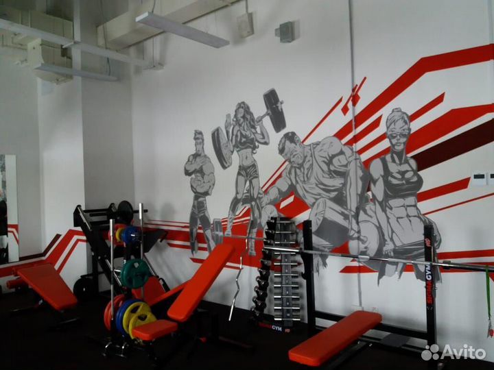 Тренажеры для спортивного центра