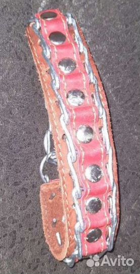 Одежда для собак