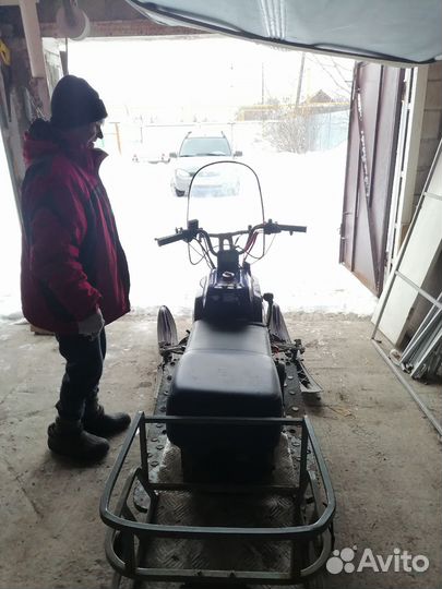 Irbis (dingo - T150)