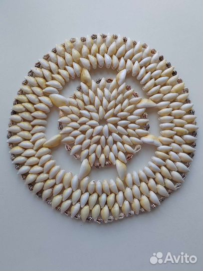 Сувенир морские ракушки подставка