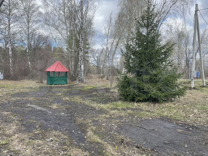 Общепит, 2000 м²