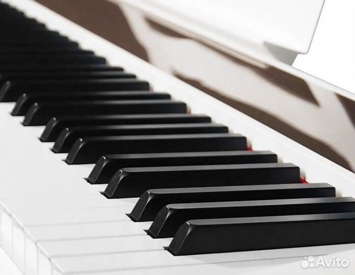 Цифровое пианино Nux Cherub NPK-10