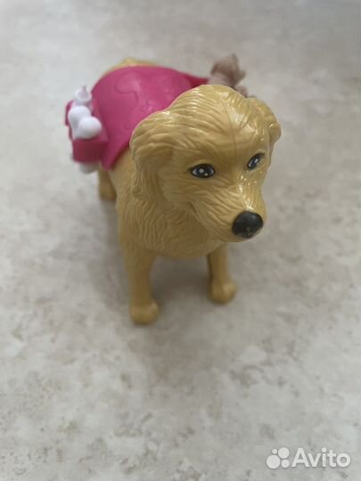 Собака с щенками