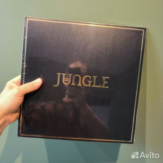 Виниловые пластинки группы Jungle