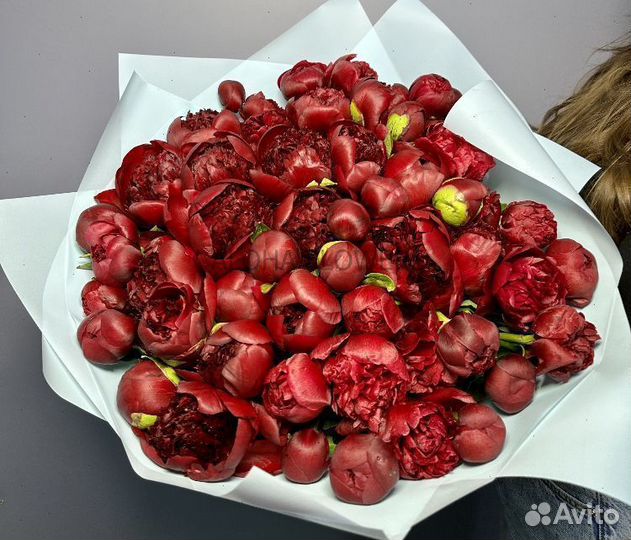 Пионы букет доставка