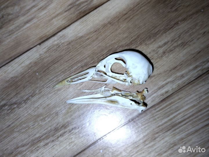 Заказ для Виктории