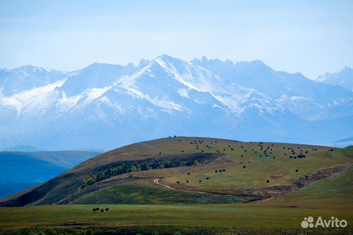Экскурсия — Кисловодск — Озёра Шадхурей, пикник на