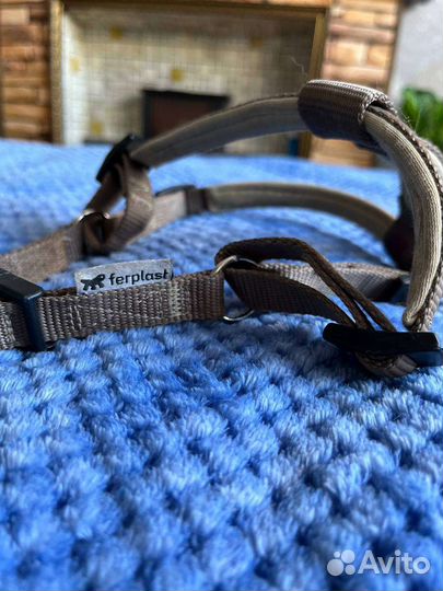 Шлейка для собаки