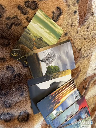 Мак что на душе