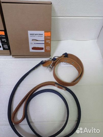 Ошейник и поводок