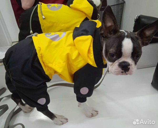 Комбинезон одежда для собак 28 см