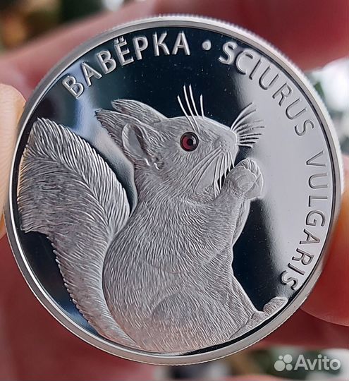 Монета вавёрка