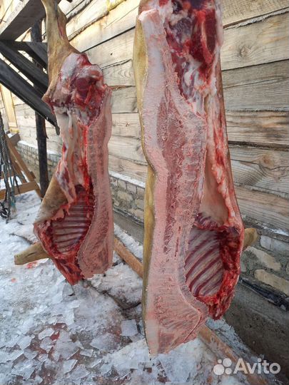 Мясо свиньи