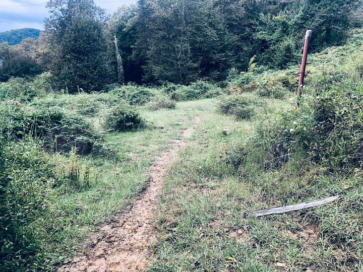 Участок 15 сот. (СНТ, ДНП)