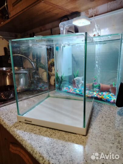 Аквариум