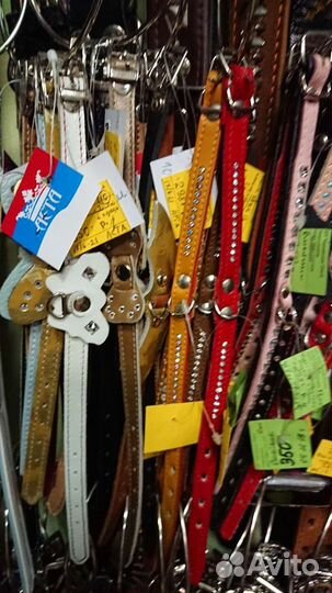 Ошейники, поводки, шлейки, ринговки