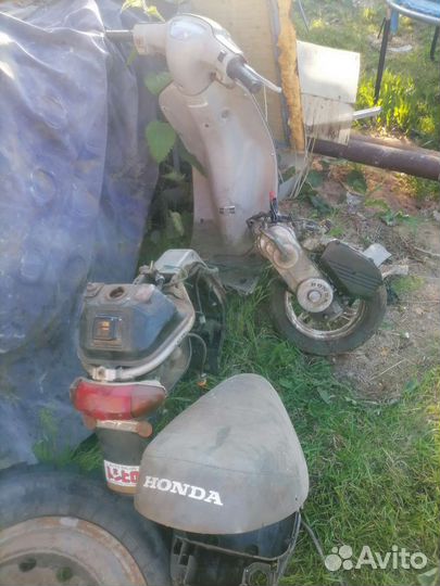 Скутор хонда pal на зп. Торг уместин