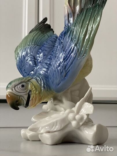 36 cm высота фарфоровый попугай Karl Ens