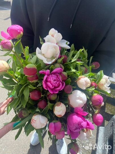 Букет Москва пионы розы хризантемы альстромерия