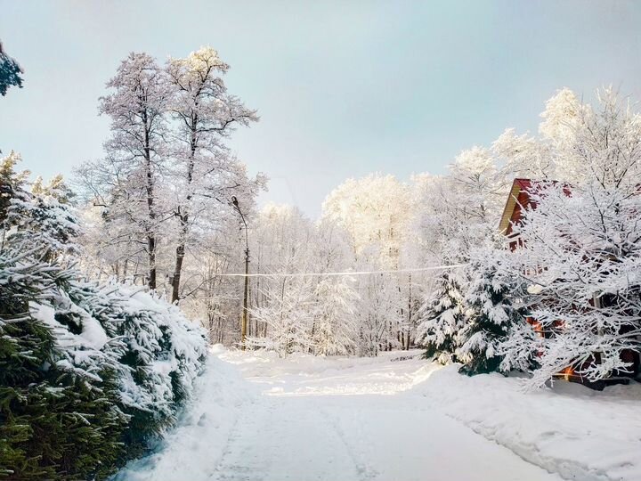 Коттедж 82 м² на участке 50 сот.