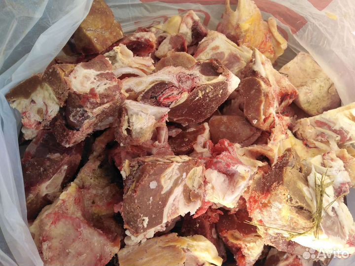 Мясо корм для животных, собак говядина субпродукты